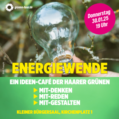 Themenabend Energiewende